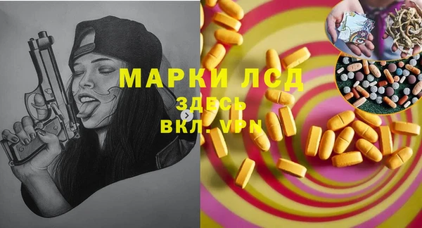 индика Ростов