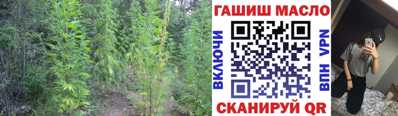 ОМГ ОМГ онион  Обоянь  Дистиллят ТГК вейп 