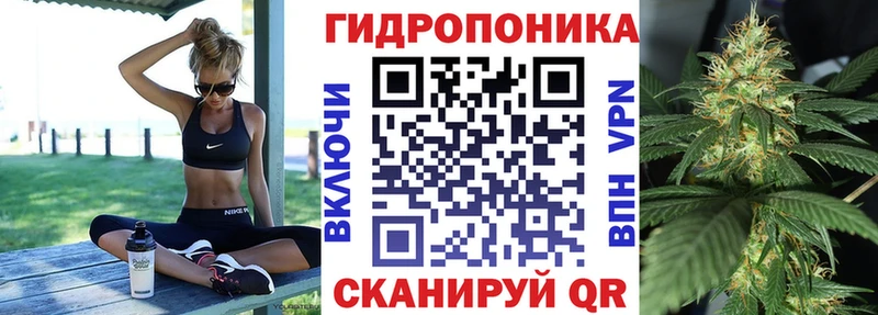 Бошки марихуана сатива  Обоянь 